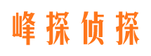 和林格尔侦探